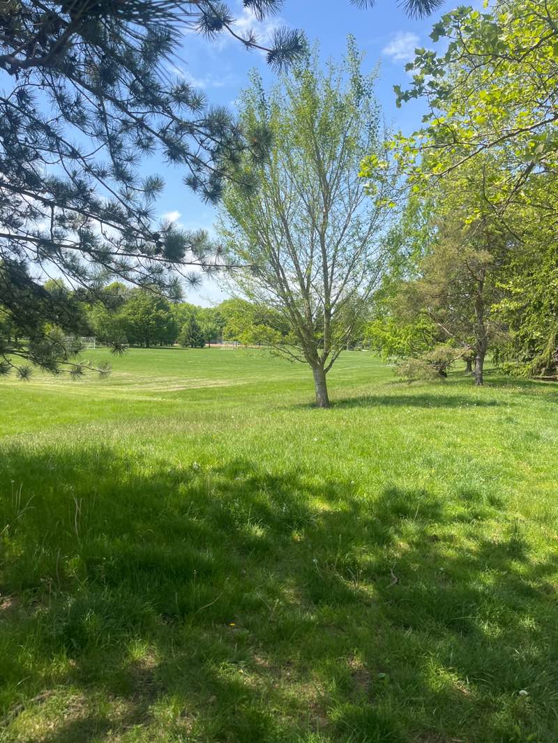 walking near me in Fancyburg Park in spring
