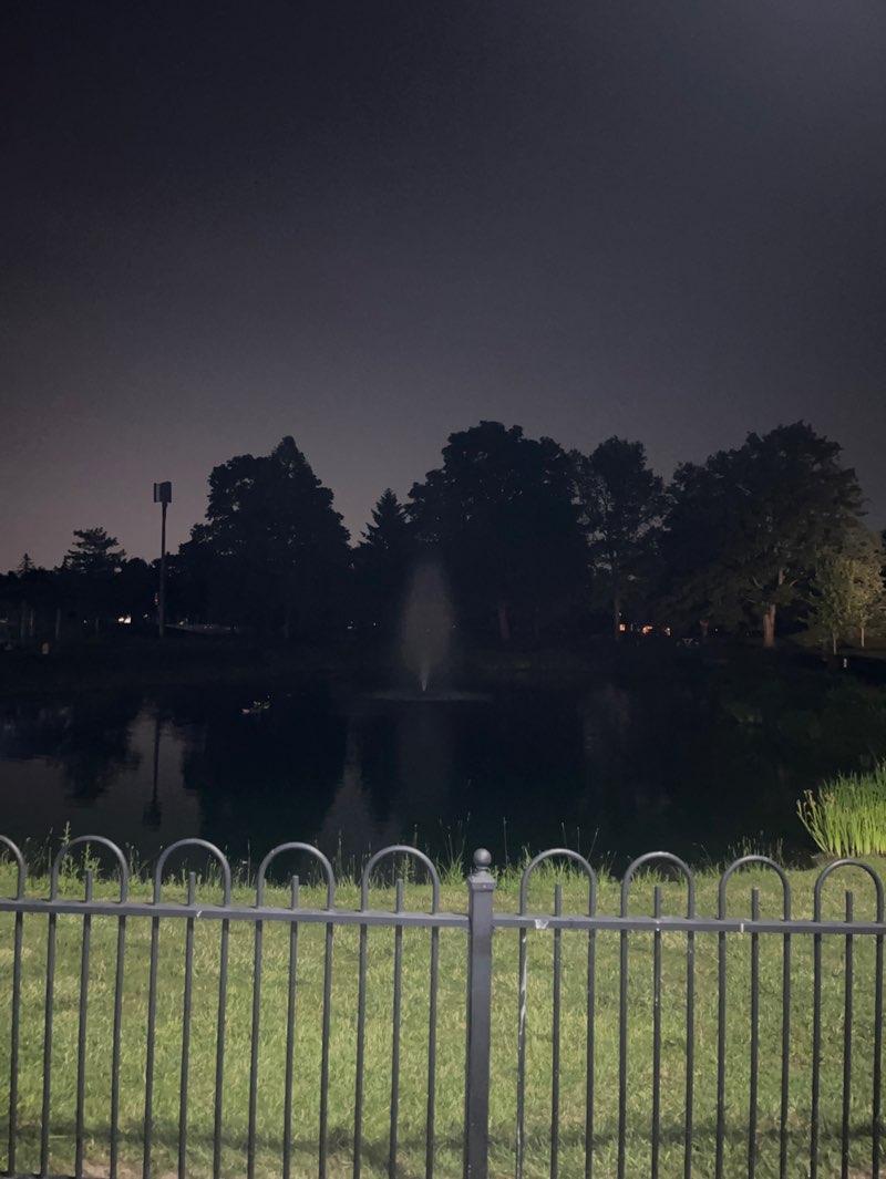 walking near me in Sunny 95 Park in summer