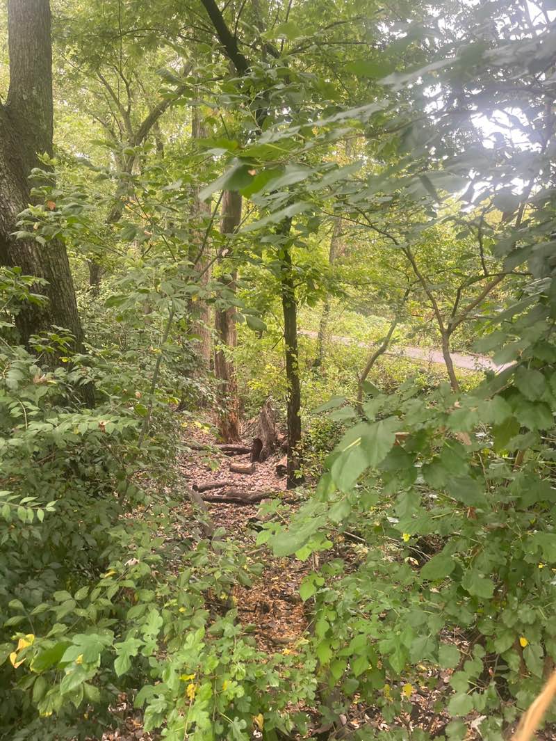 walking near me in Tuttle Park in autumn