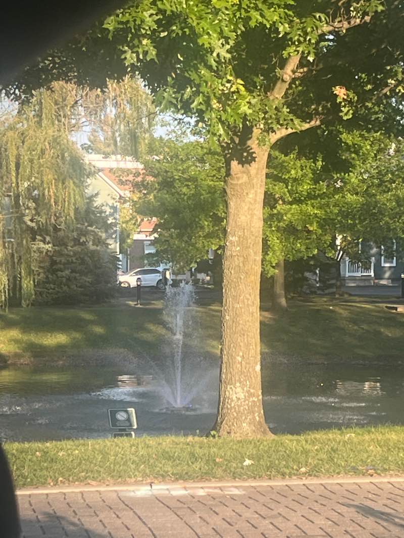 walking near me in Village Green Park in autumn
