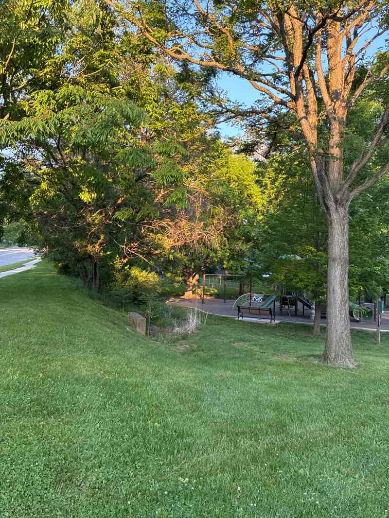 walking near me in Oxford Park in summer
