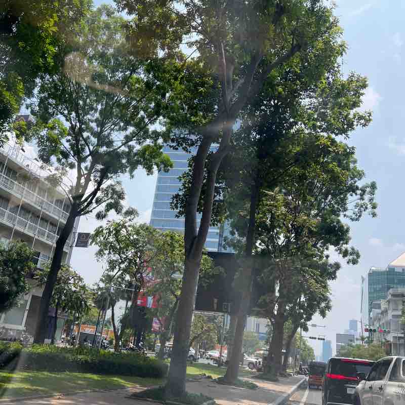 SANOZ ​🇰🇭 post 1