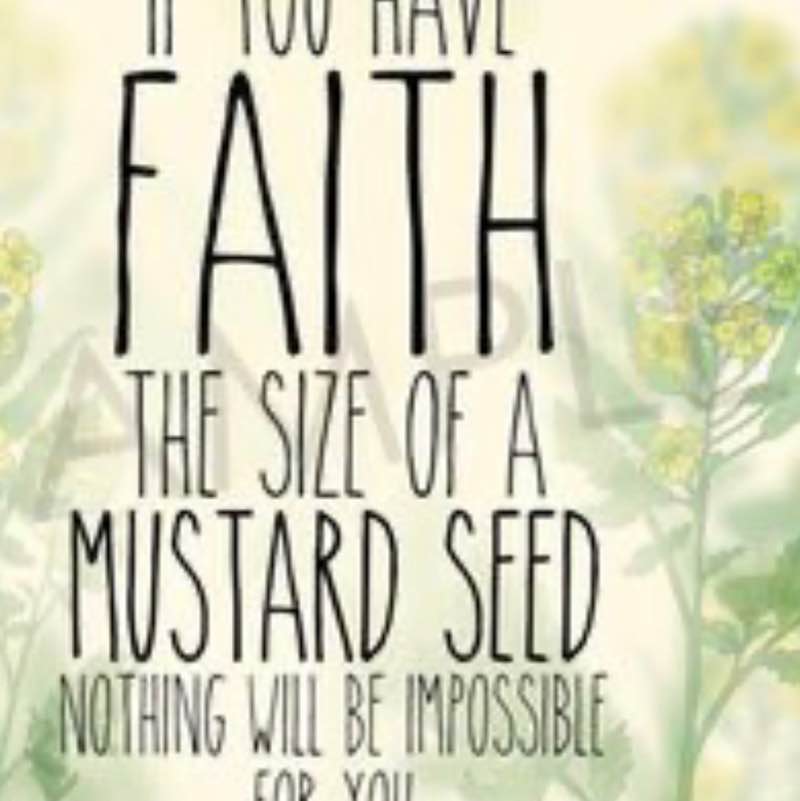 Circle of Grace Stacy post image