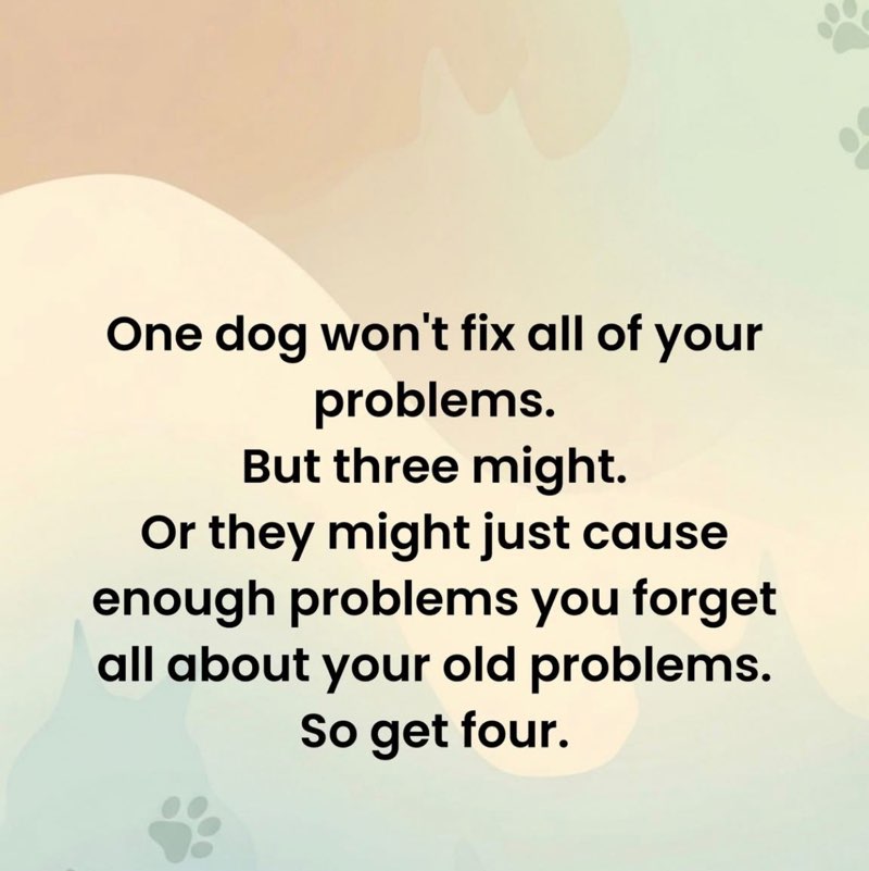 I ❤️ My Pets Stacy post image