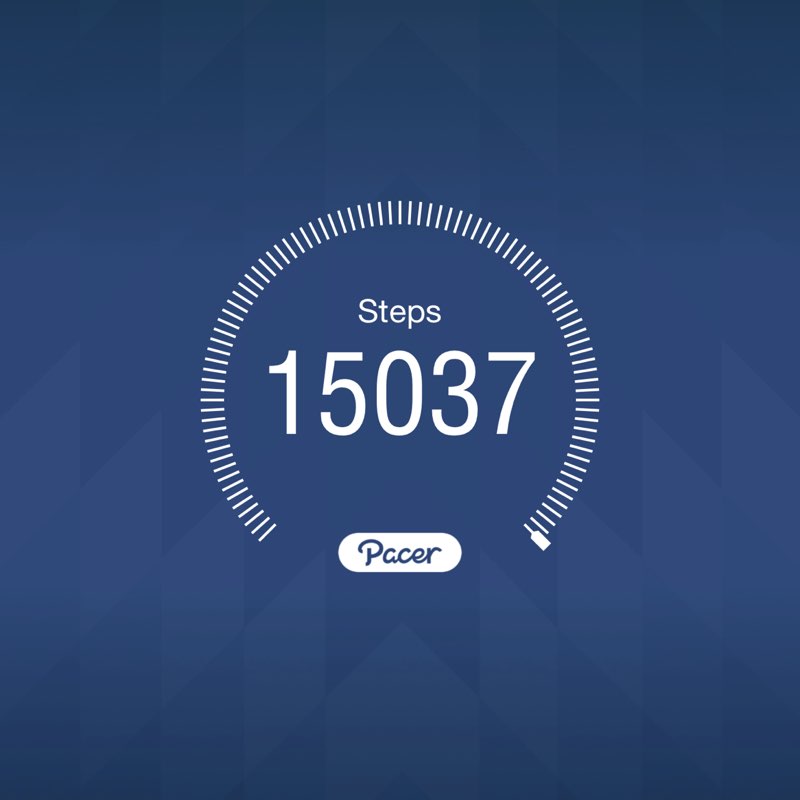 AERO 88 🐾🐕‍🦺 🇺🇸🌟 post 1