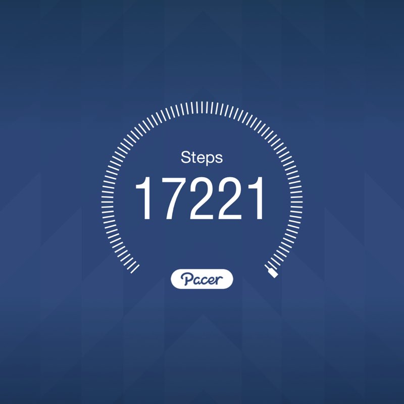 AERO 88 🐾🐕‍🦺 🇺🇸🌟 post 1