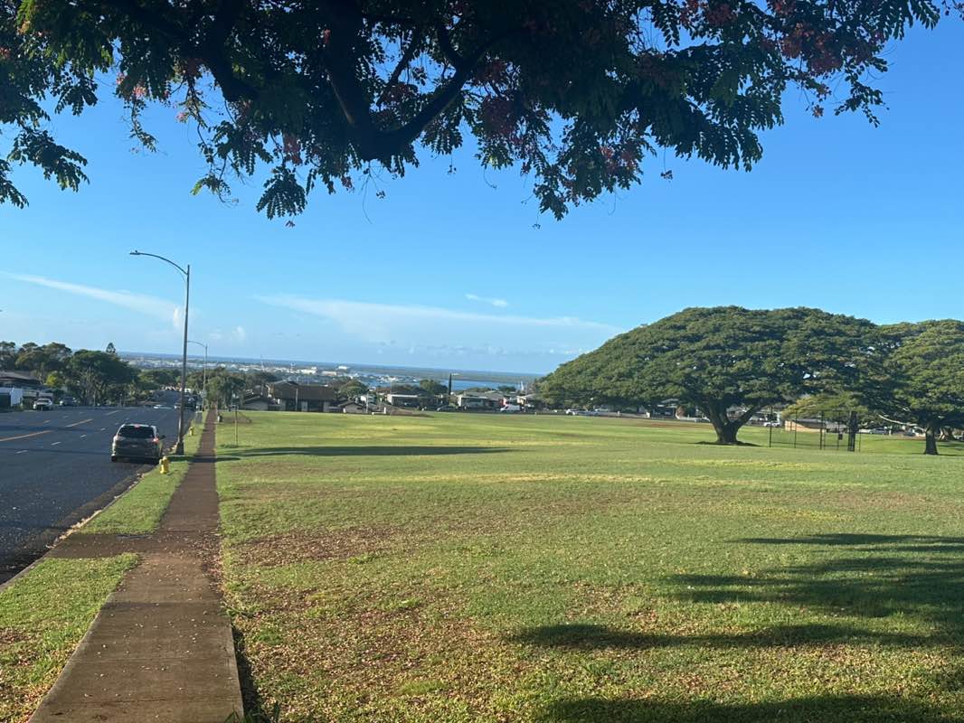 walking near me in Waiau District Park in autumn