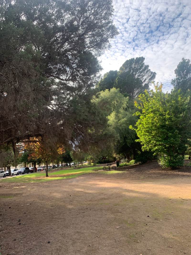 walking near me in Memorial Park in winter