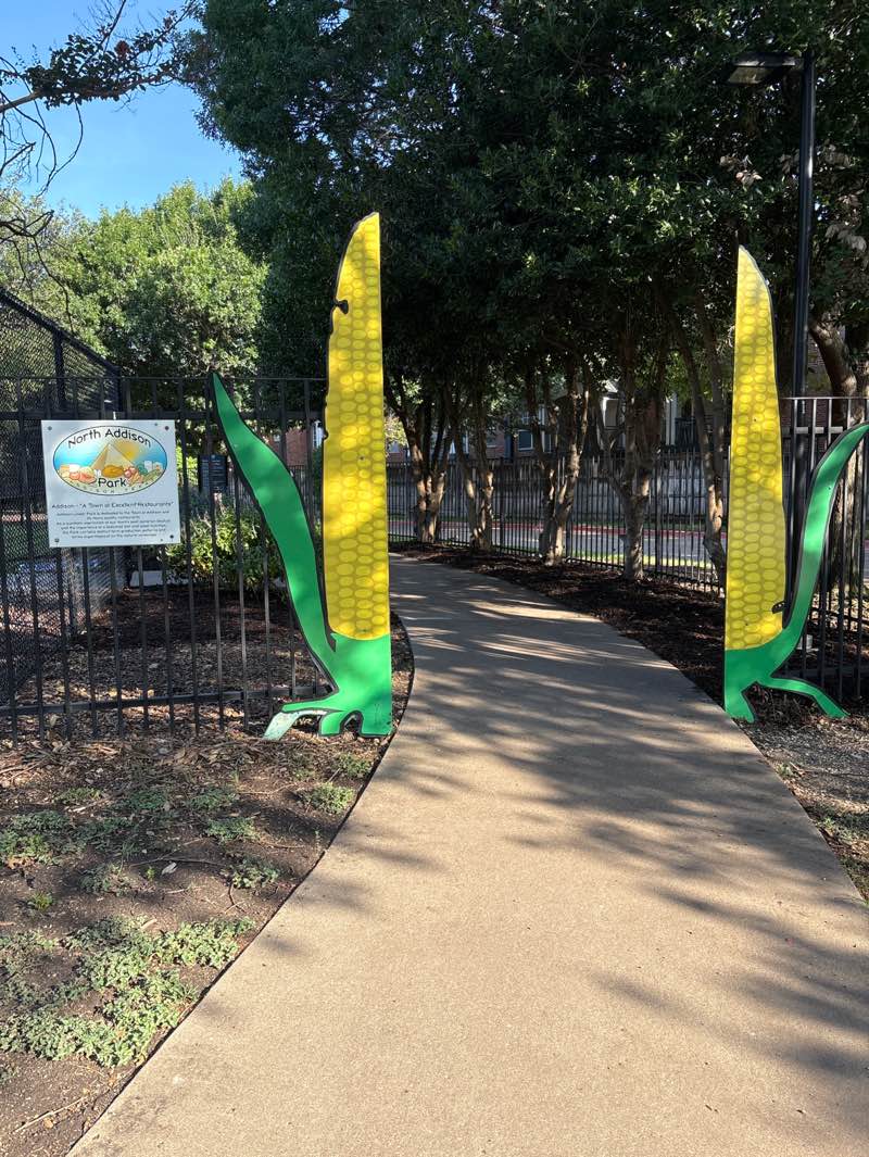 walking near me in North Addison Park in autumn