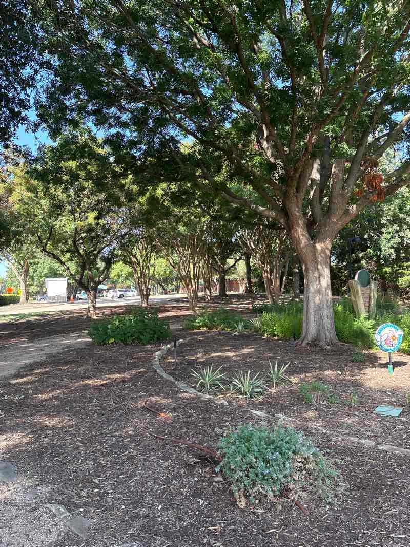 walking near me in Las Lacs Linear Park in autumn