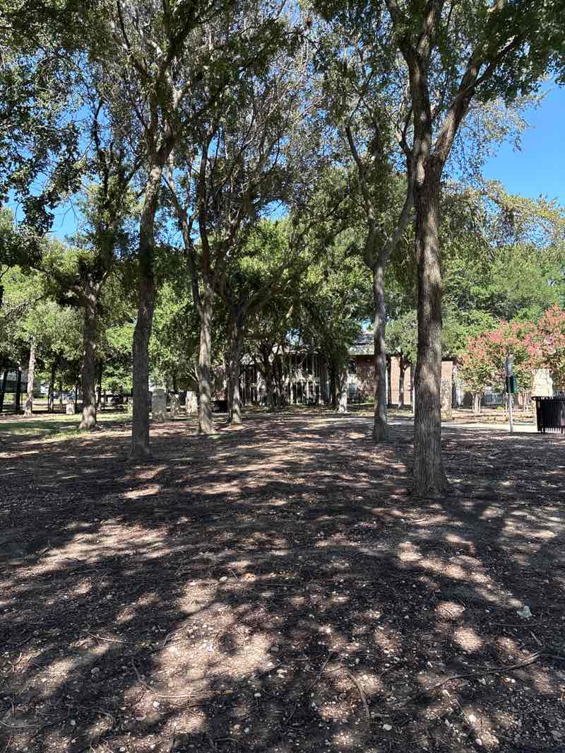 walking near me in Quorum Park in autumn