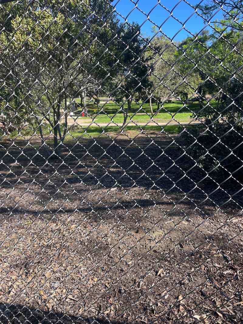 walking near me in San Dieguito County Park in winter