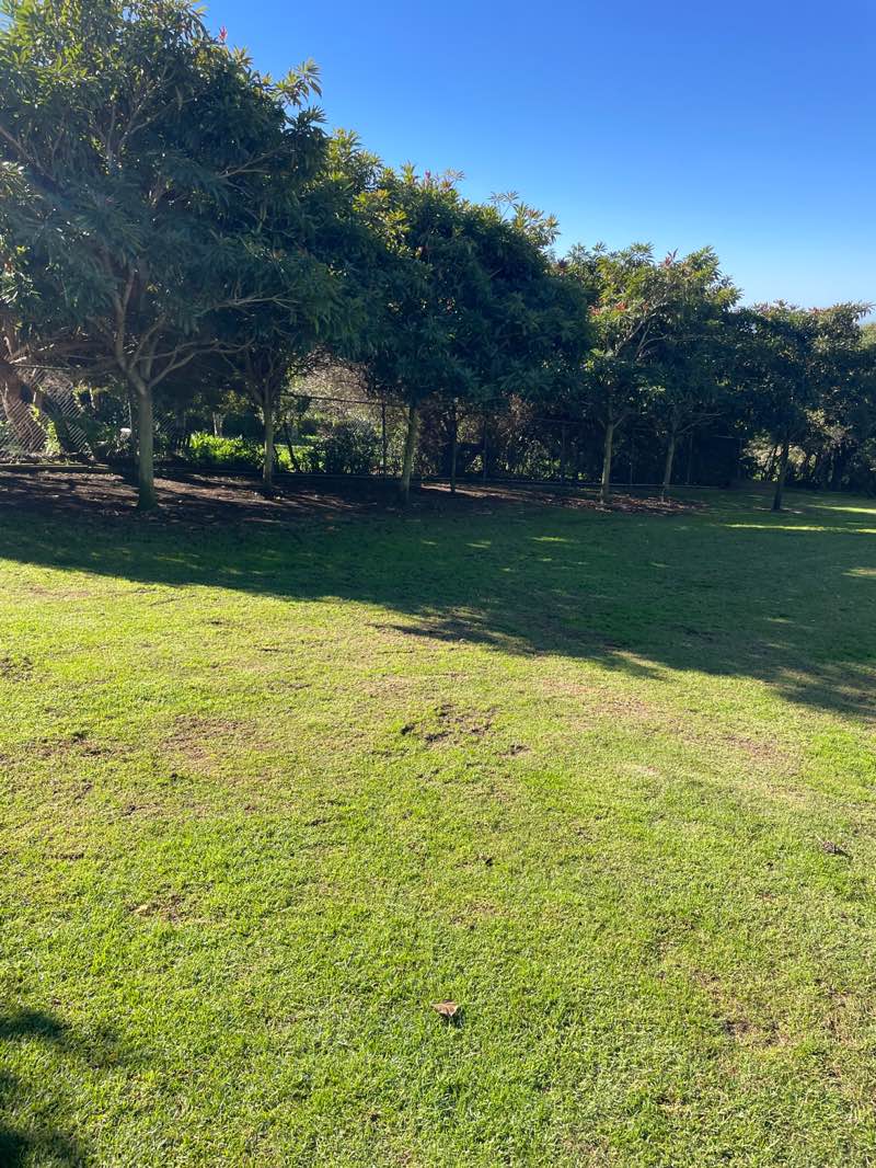 walking near me in Orpheus Park in winter