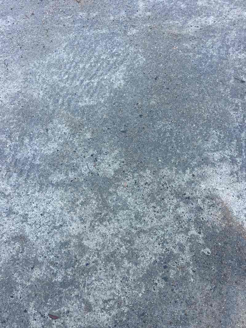 walking near me in Fairbanks Park in winter