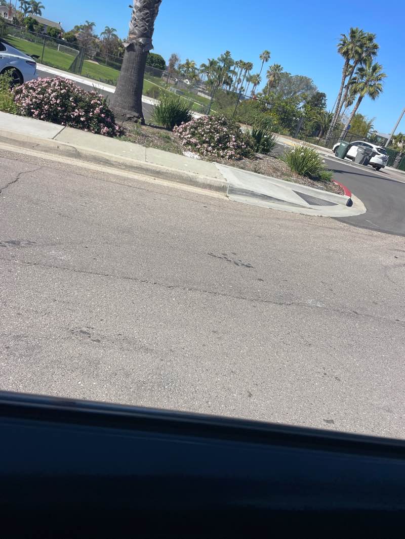 walking near me in Ada Harris Park in winter