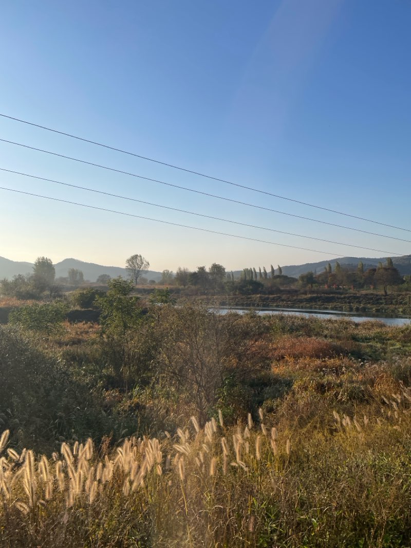 walking near me in 강천섬 유원지 in autumn