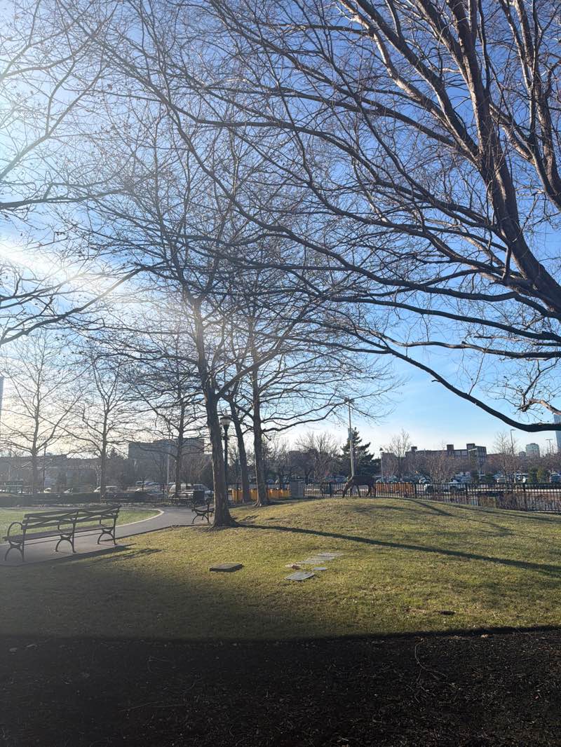 walking near me in Newport Green in winter