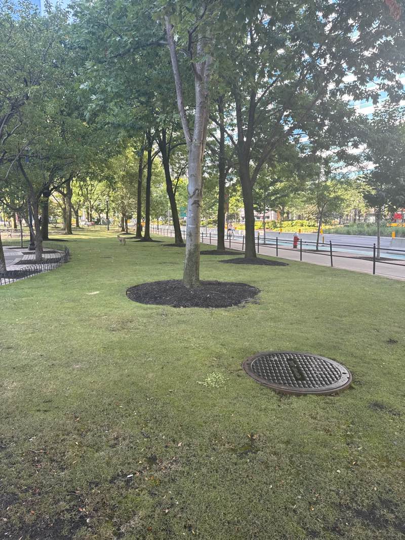 walking near me in Marina Park and Garden in autumn