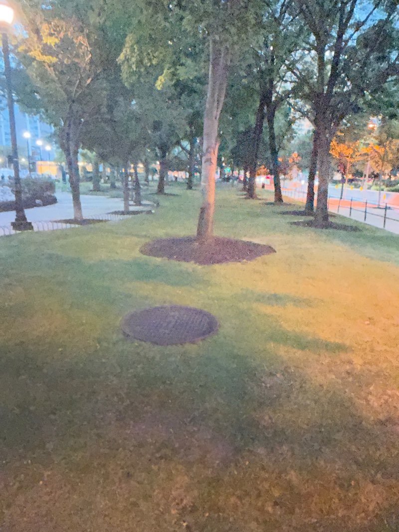walking near me in Marina Park and Garden in summer