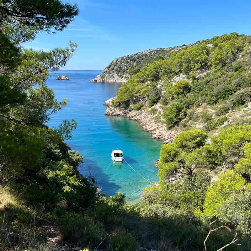 Ivo Charlie 66 post 2