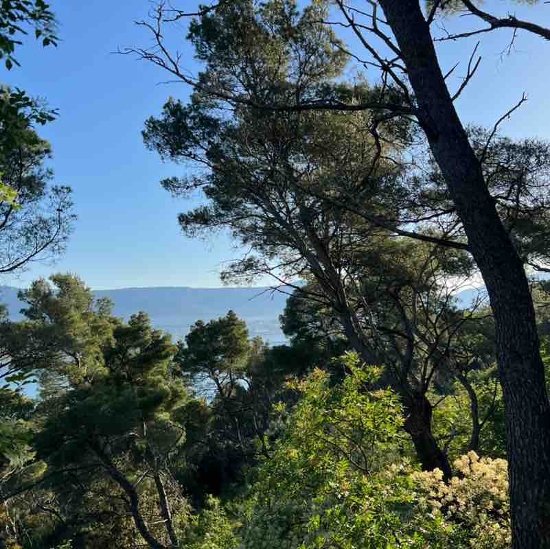 Ivo Charlie 66 post 3