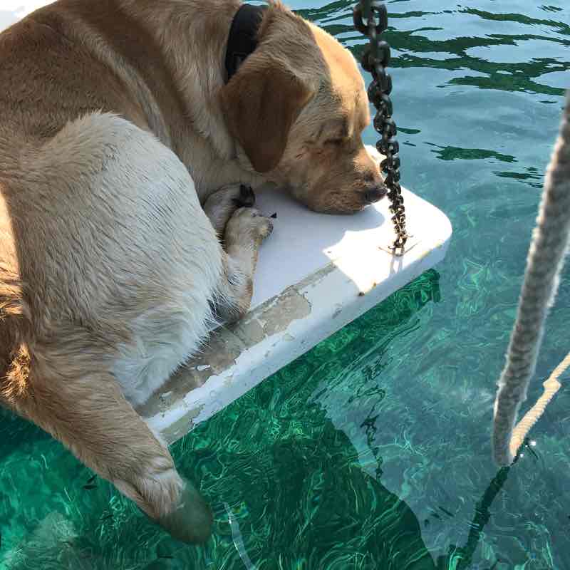 Ivo Charlie 66 post 1