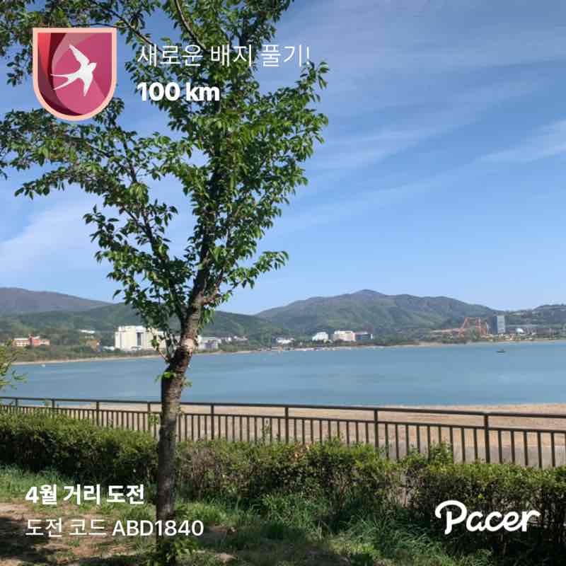 BEAR🇰🇷😁 post 1