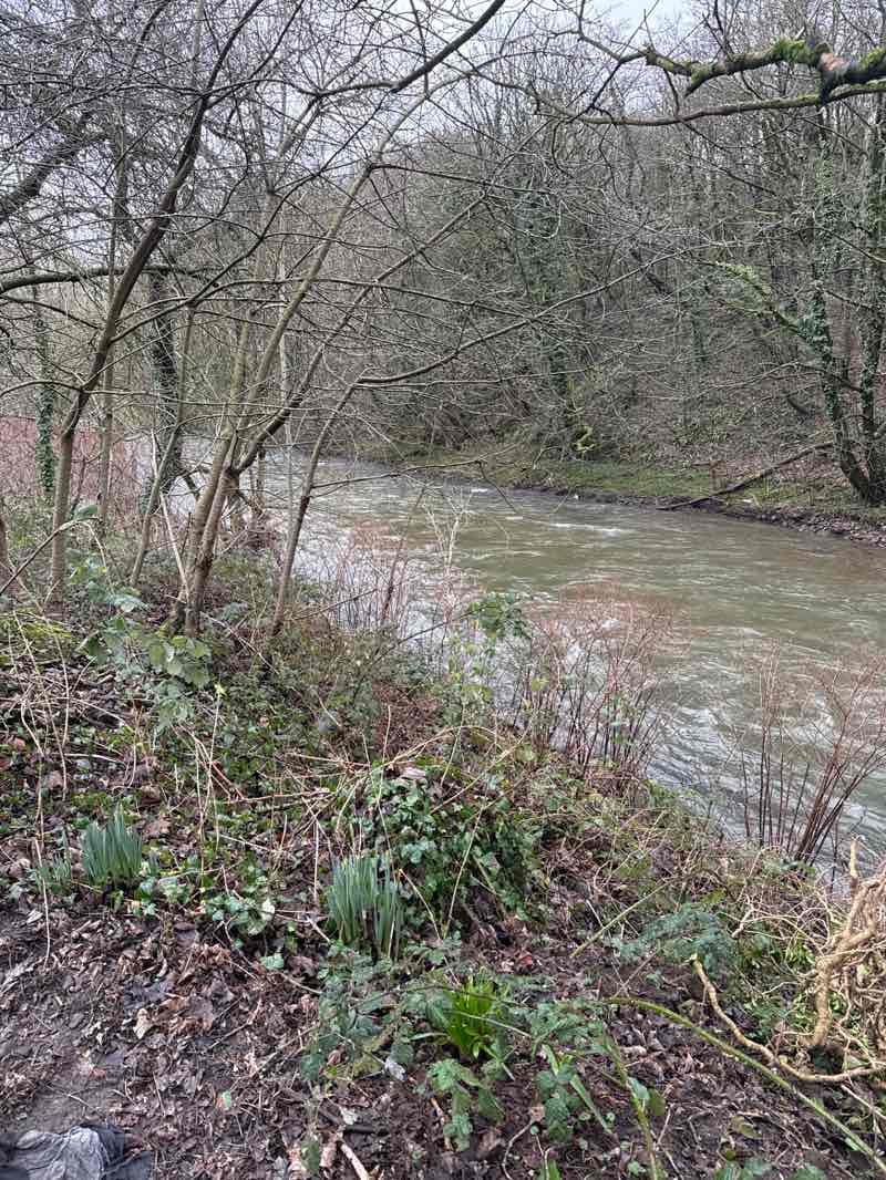 walking near me in Waunfawr Park in winter