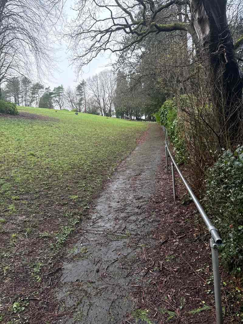 walking near me in Caetwmpyn Park in winter