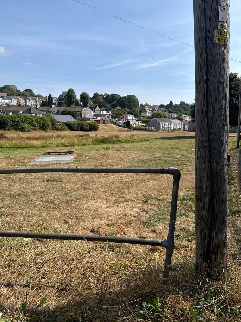 walking near me in Windsor Park in summer