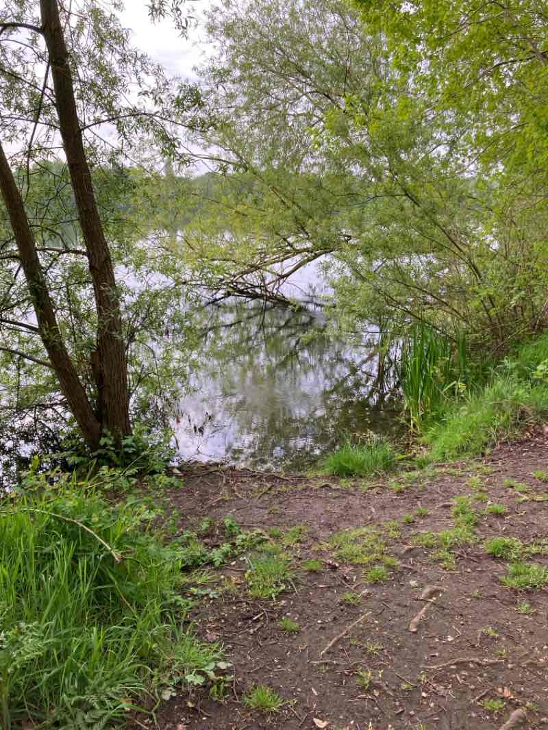 walking near me in Millennium Green in winter