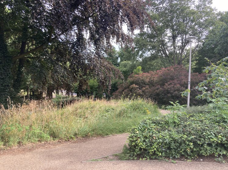walking near me in Golden Jubilee Gardens in summer