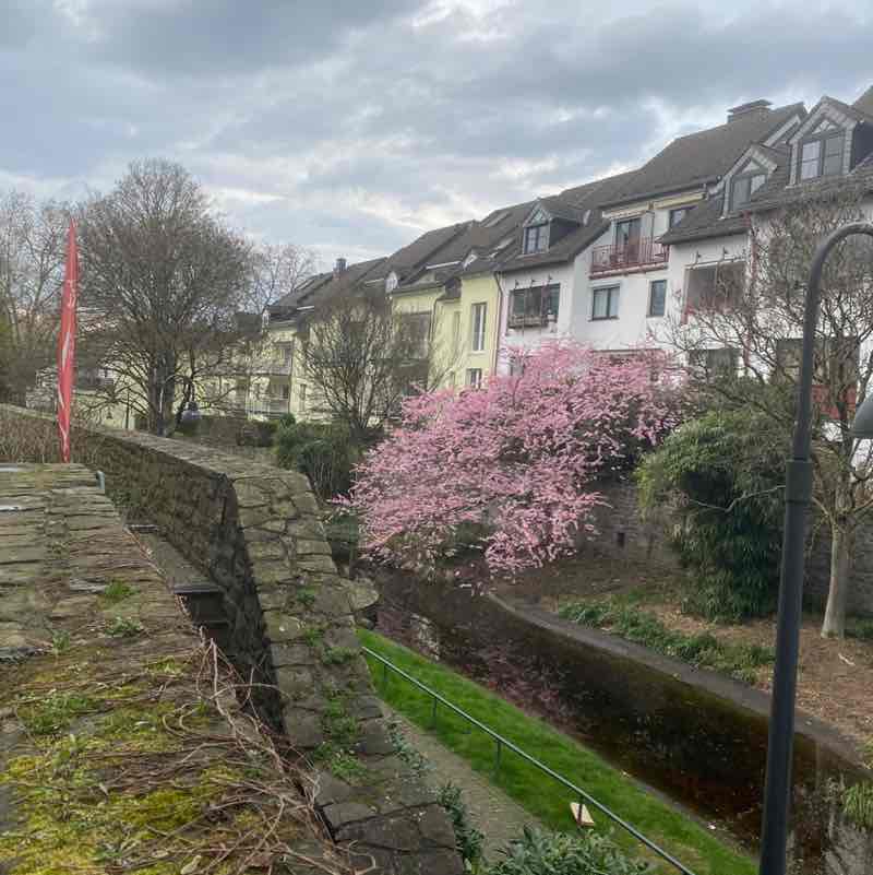 Pacer Typ 1957 post 2