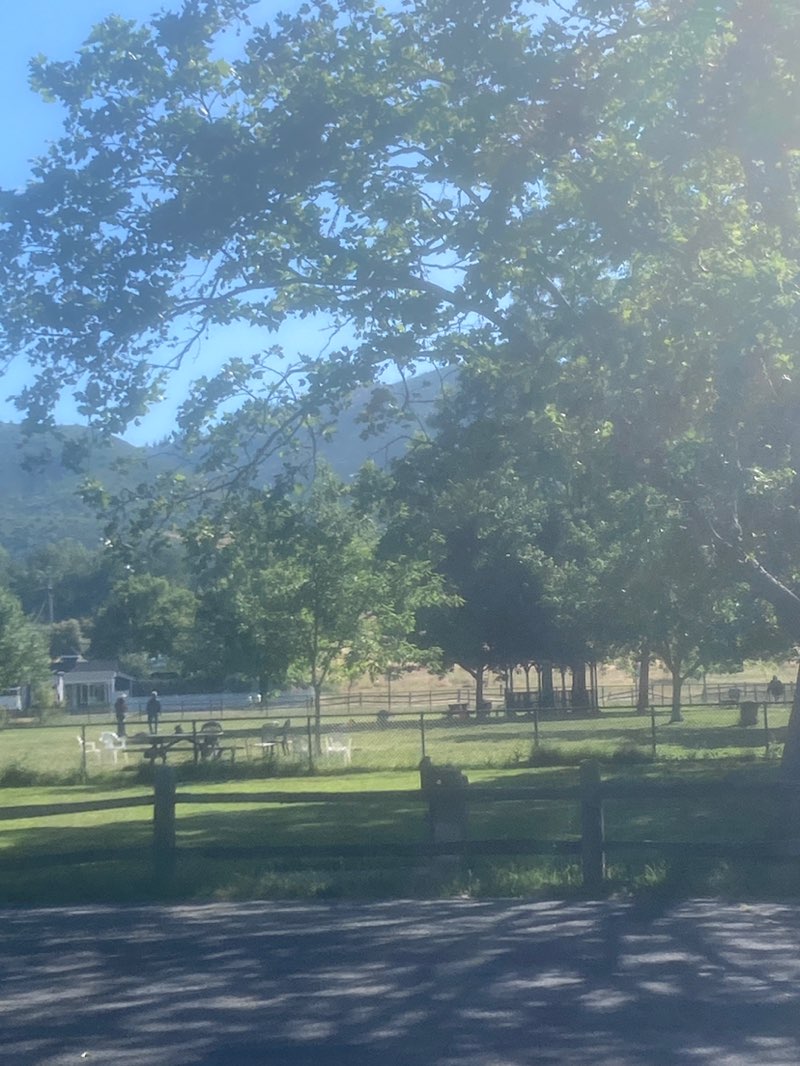 walking near me in Sonoma Valley Regional Park in spring
