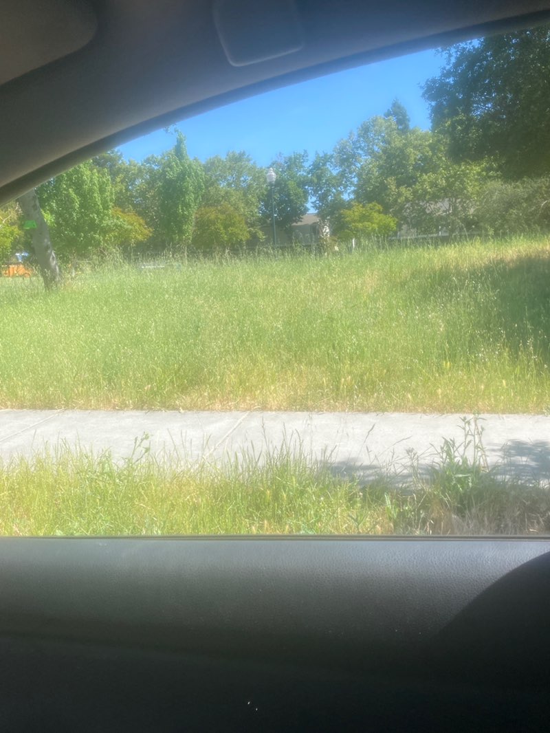 walking near me in Harvest Park in spring