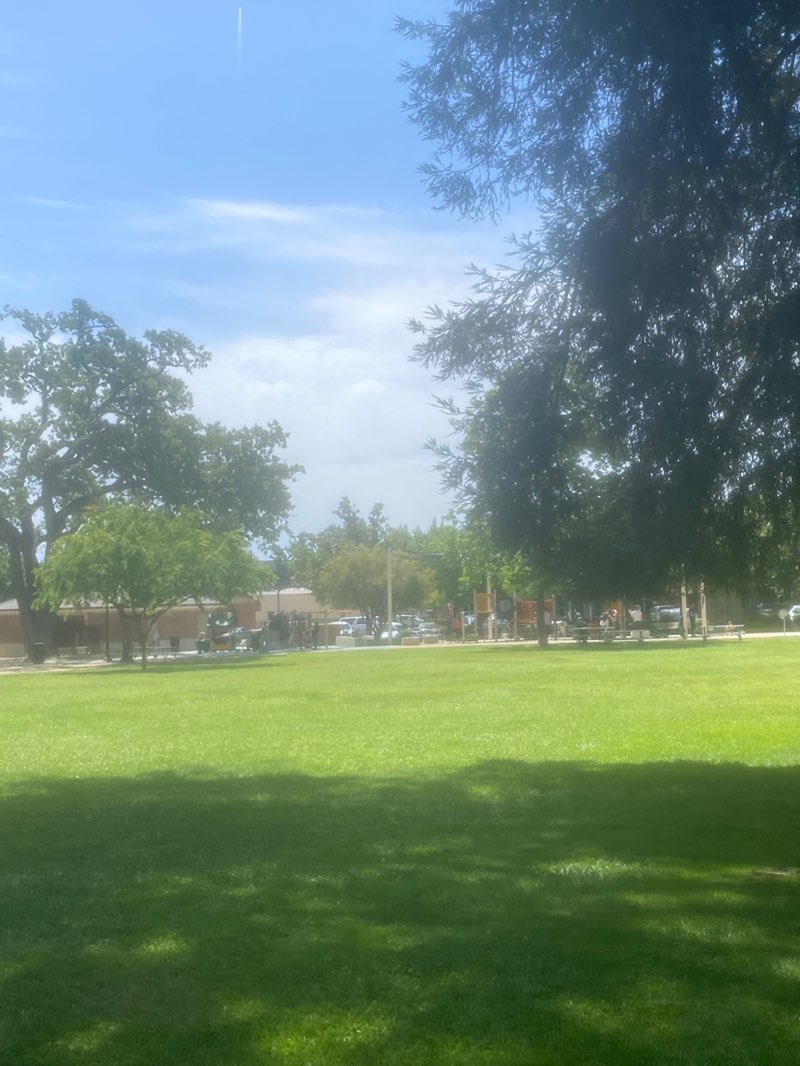 walking near me in City Park in spring