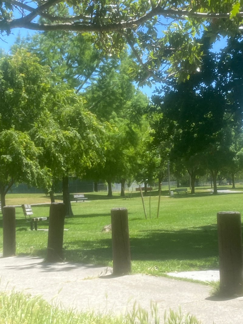 walking near me in Galvan Community Park in spring