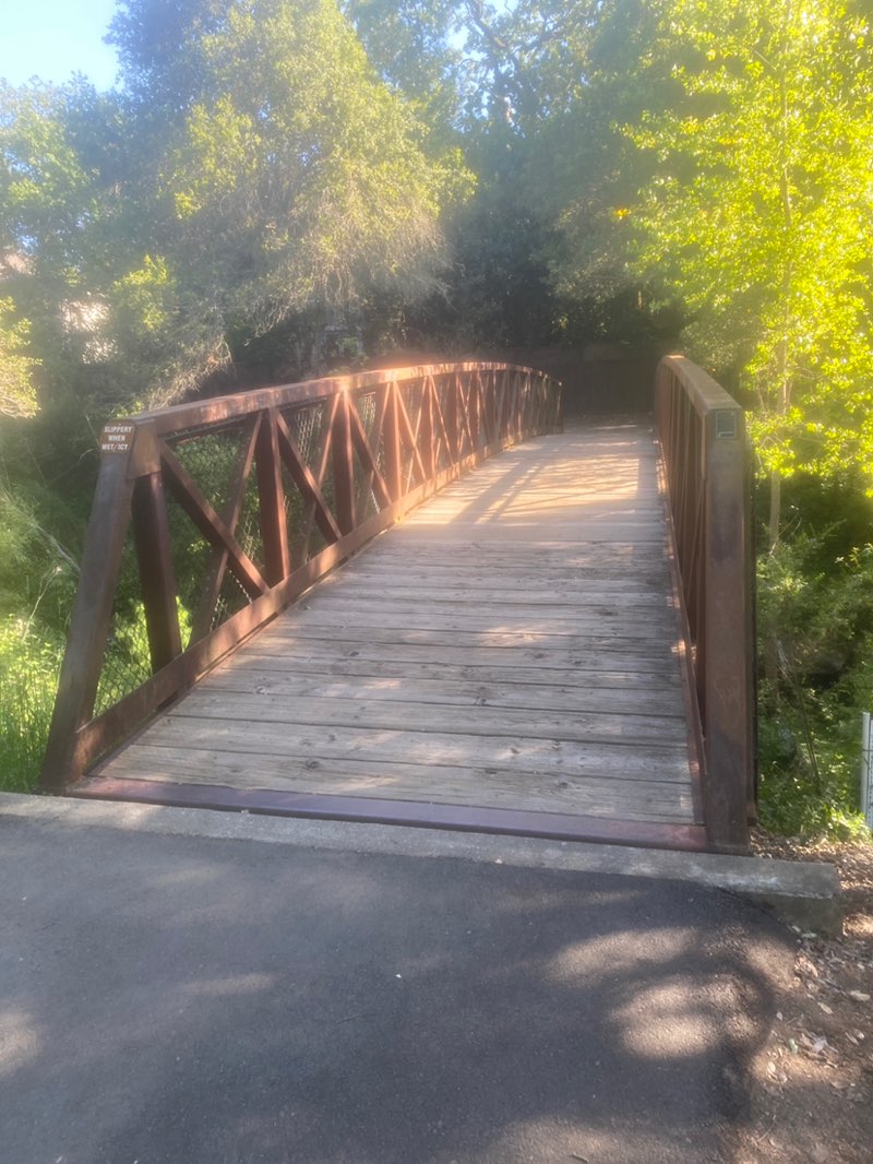 walking near me in Flat Rock Park in spring