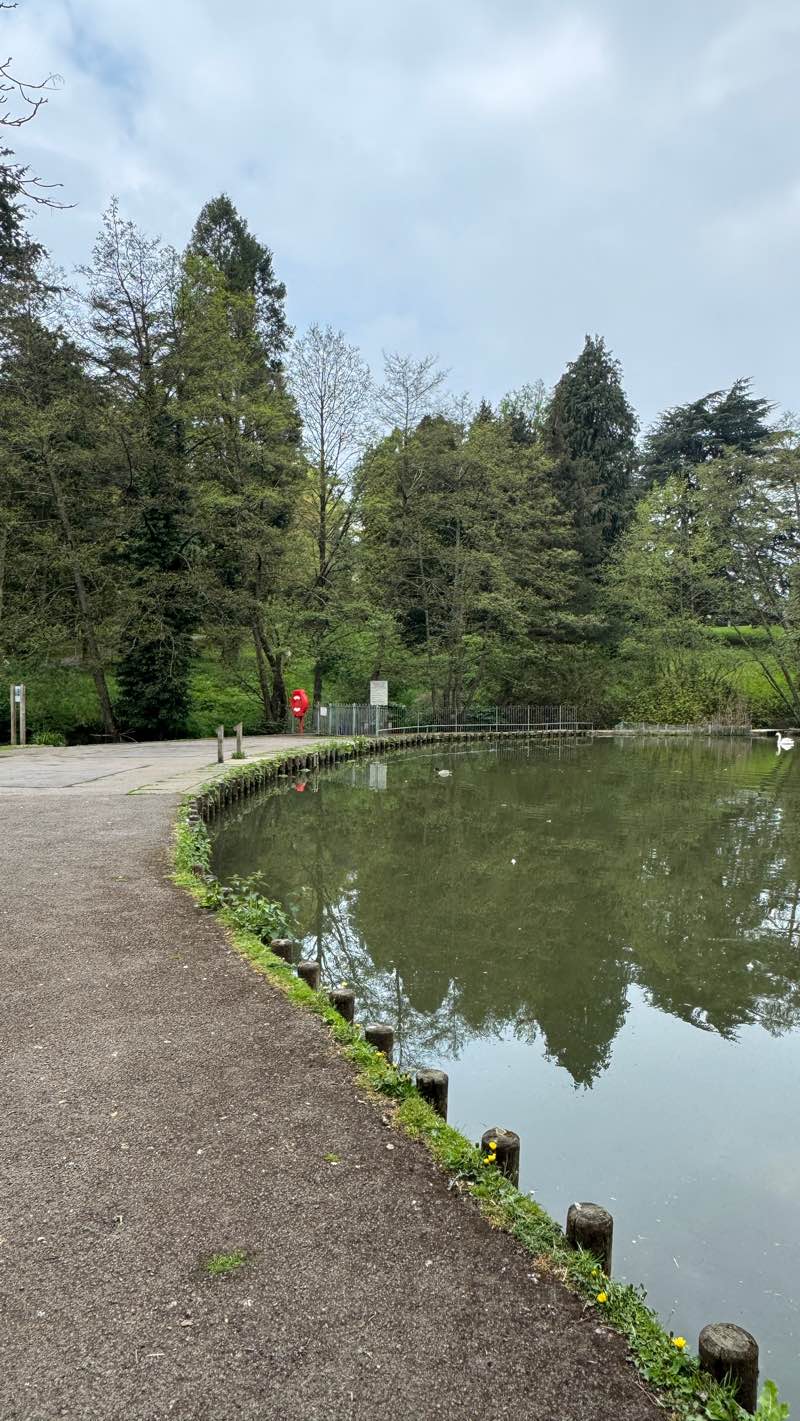 walking near me in Stratford Park in spring