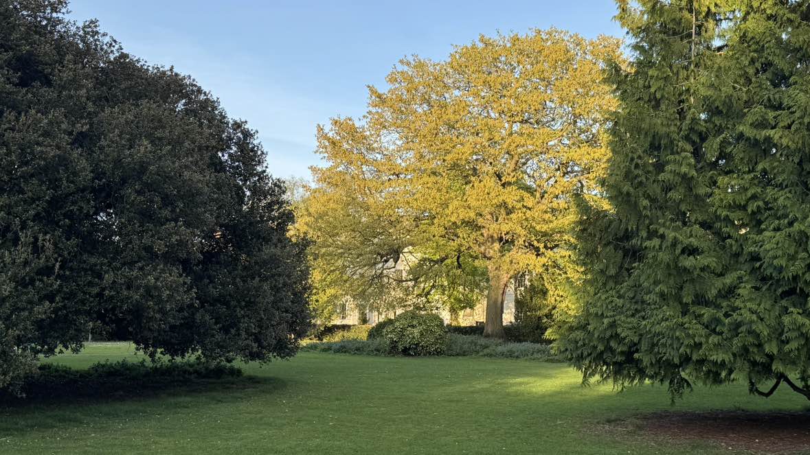 walking near me in Wellington Square in spring