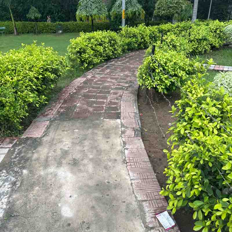 Neerujainneeru jain post 1