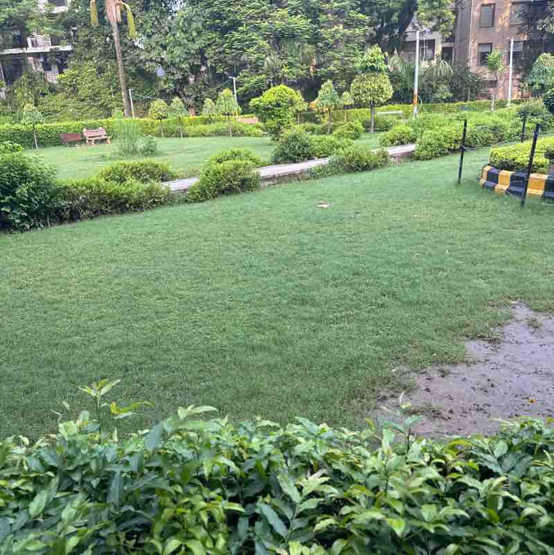 Neerujainneeru jain post 1