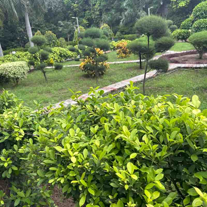 Neerujainneeru jain post 2