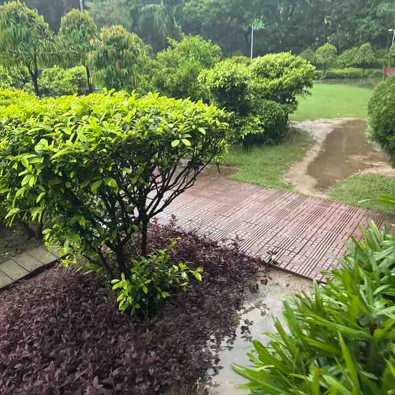 Neerujainneeru jain post 1
