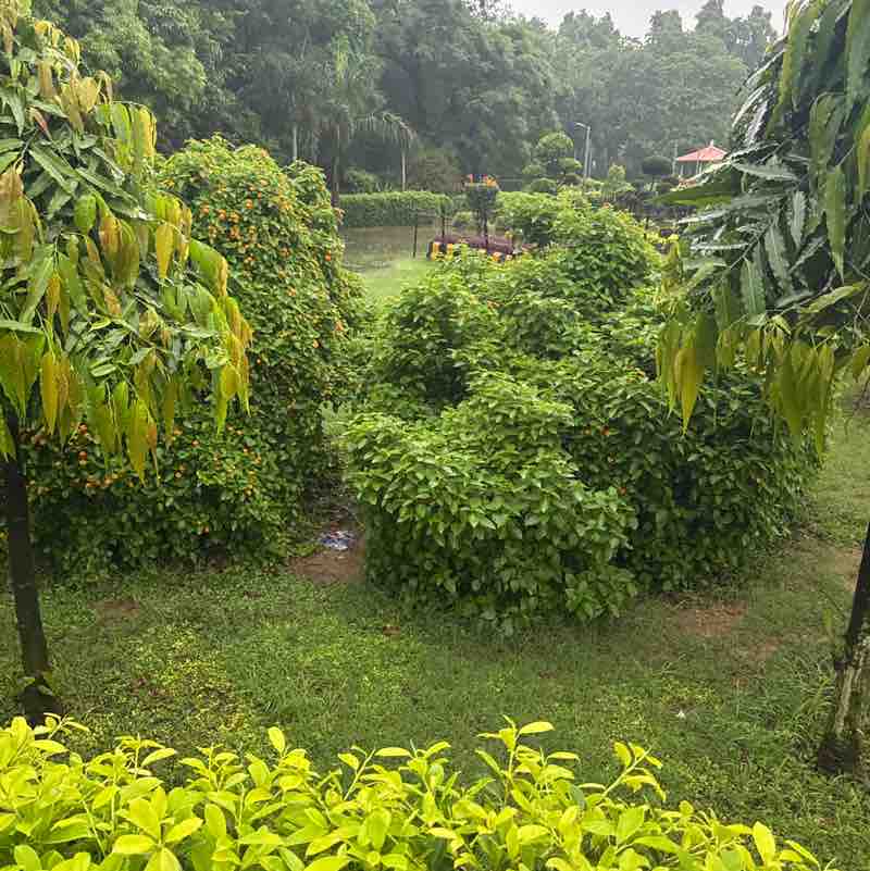 Neerujainneeru jain post 2