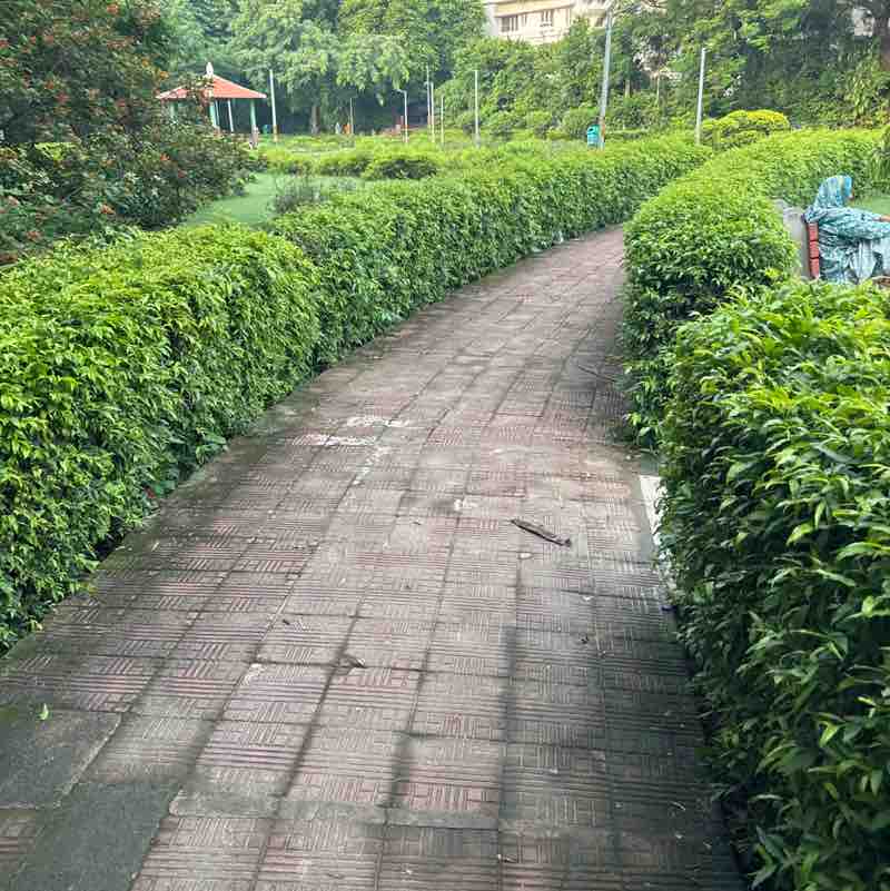 Neerujainneeru jain post 2