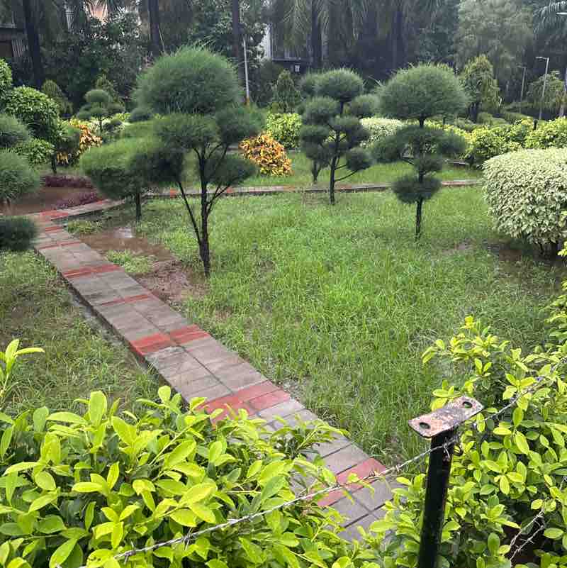 Neerujainneeru jain post 3