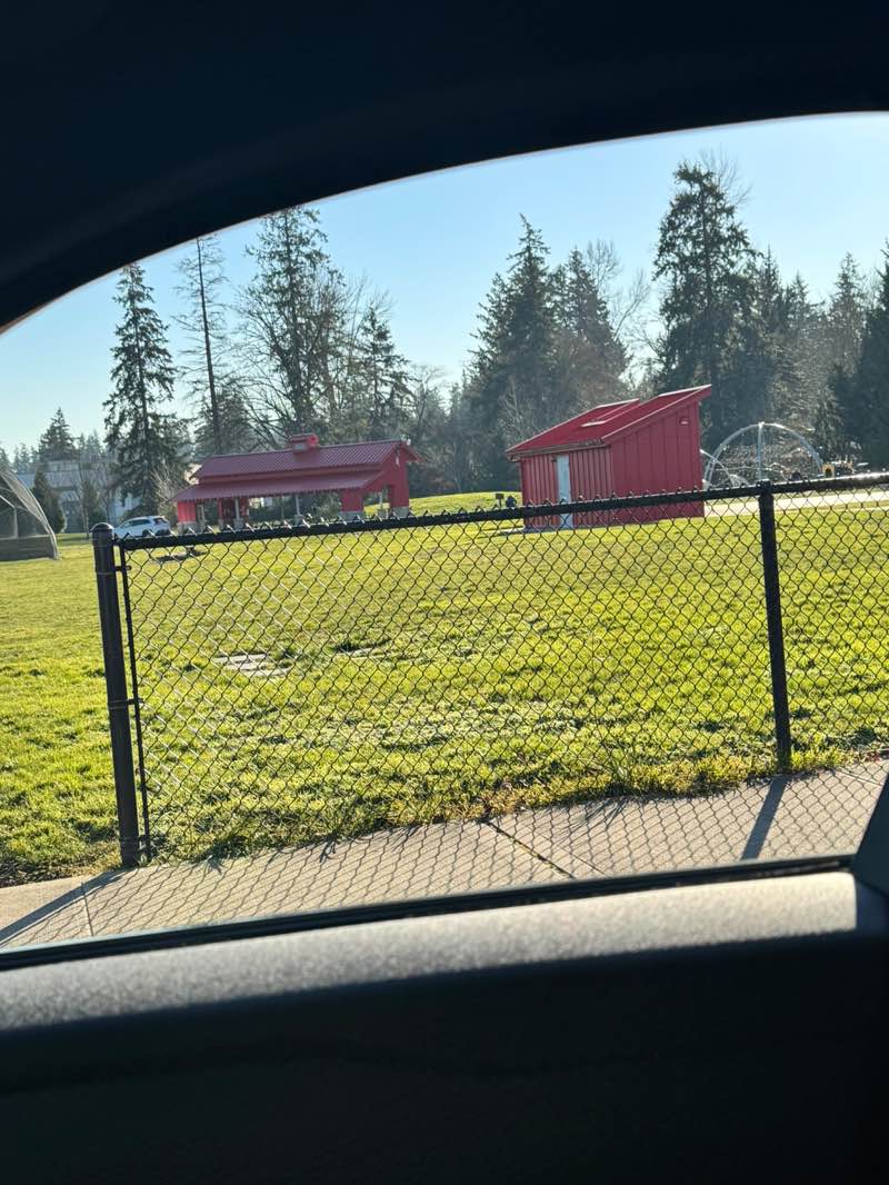 walking near me in Lea Hill Park in winter