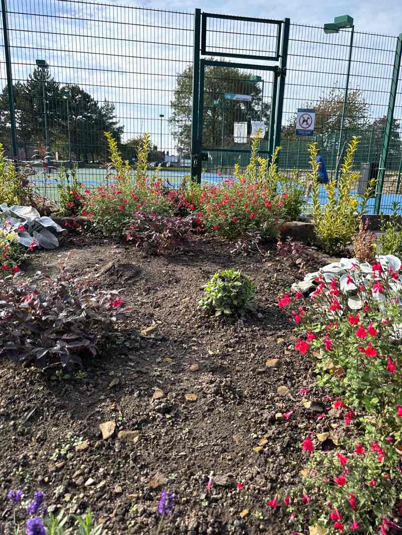 walking near me in Springhead Park, Rothwell in autumn