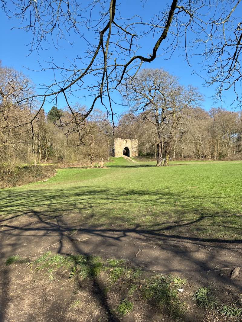 walking near me in Roundhay Park in spring